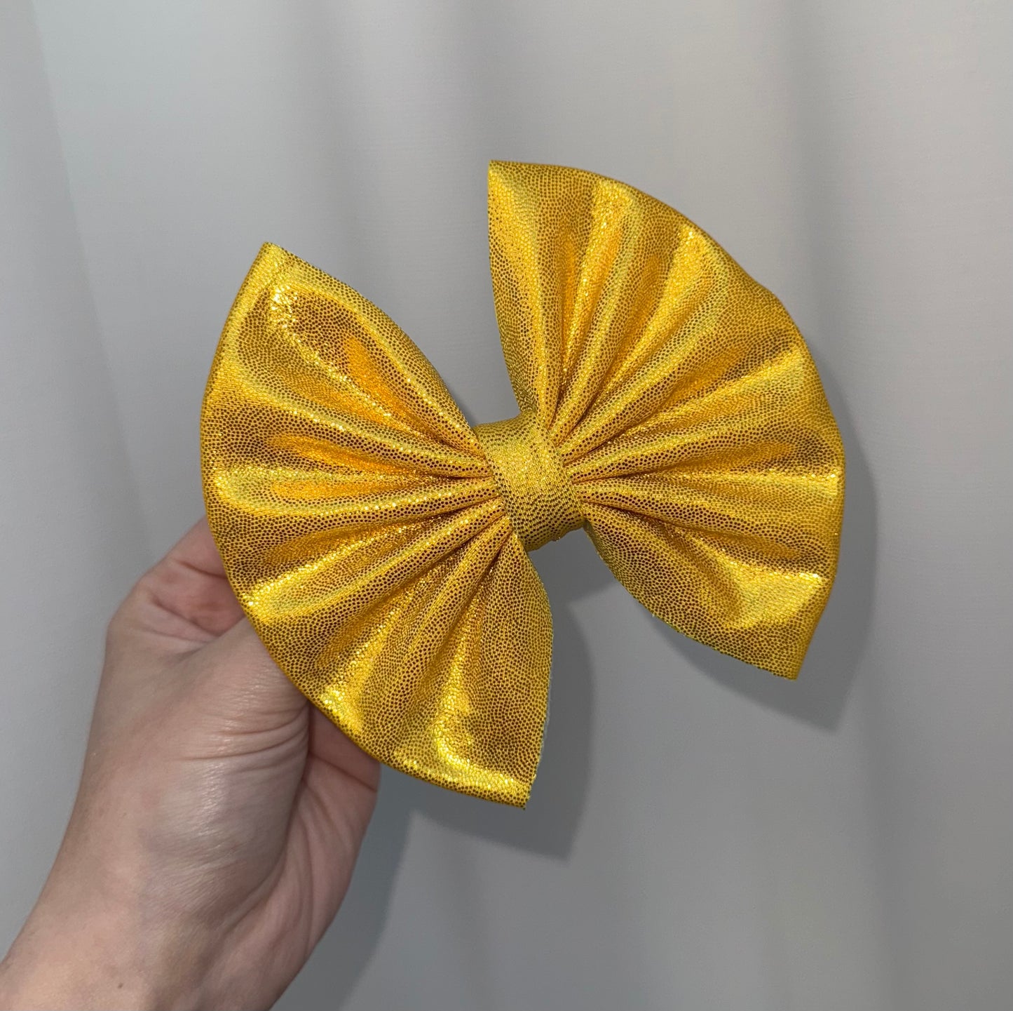 5in Holo (Clip or Nylon)