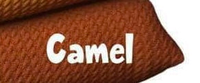 Camel